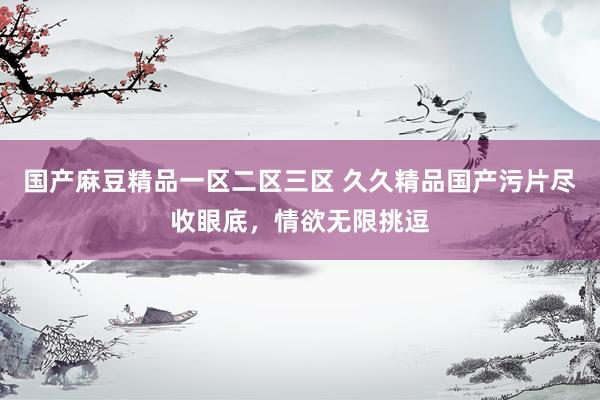 国产麻豆精品一区二区三区 久久精品国产污片尽收眼底，情欲无限挑逗