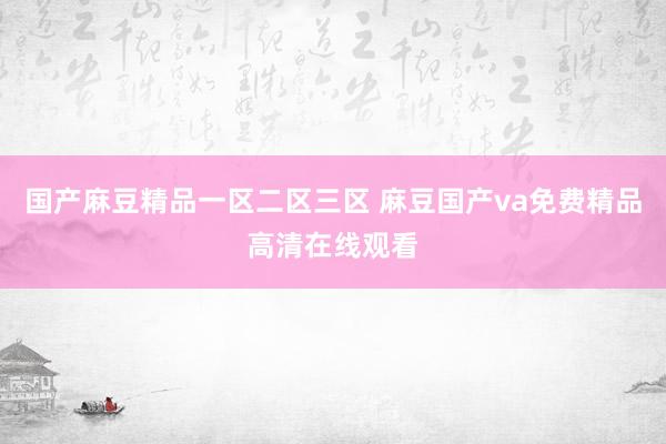 国产麻豆精品一区二区三区 麻豆国产va免费精品高清在线观看