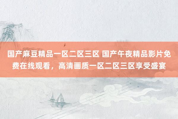 国产麻豆精品一区二区三区 国产午夜精品影片免费在线观看，高清画质一区二区三区享受盛宴