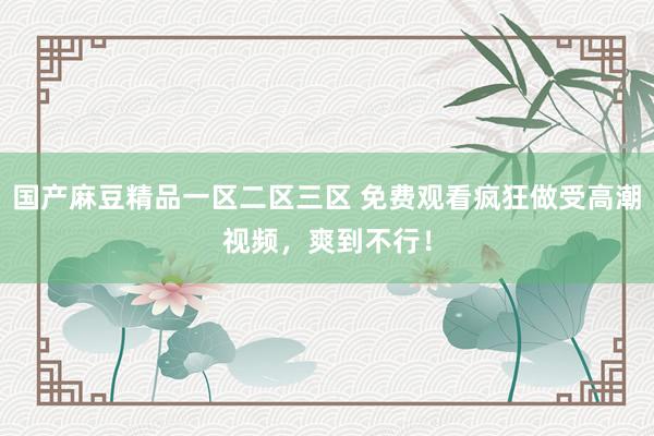 国产麻豆精品一区二区三区 免费观看疯狂做受高潮视频，爽到不行！