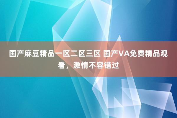 国产麻豆精品一区二区三区 国产VA免费精品观看，激情不容错过