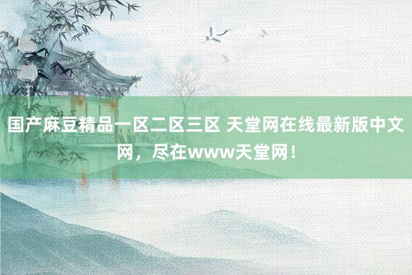 国产麻豆精品一区二区三区 天堂网在线最新版中文网，尽在www天堂网！