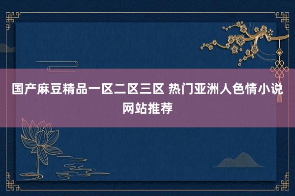国产麻豆精品一区二区三区 热门亚洲人色情小说网站推荐