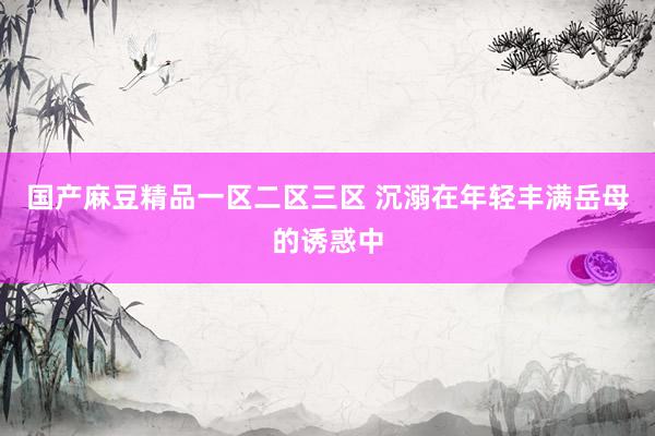 国产麻豆精品一区二区三区 沉溺在年轻丰满岳母的诱惑中