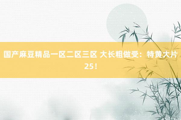 国产麻豆精品一区二区三区 大长粗做受：特黄大片25！