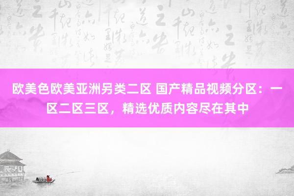 欧美色欧美亚洲另类二区 国产精品视频分区：一区二区三区，精选优质内容尽在其中