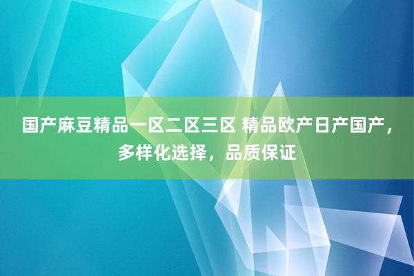 国产麻豆精品一区二区三区 精品欧产日产国产，多样化选择，品质保证