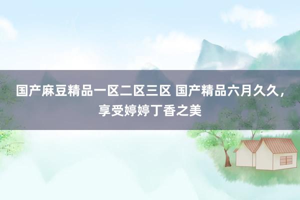 国产麻豆精品一区二区三区 国产精品六月久久，享受婷婷丁香之美