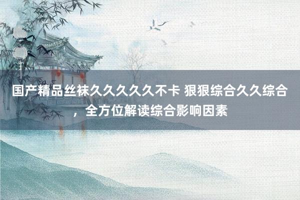 国产精品丝袜久久久久久不卡 狠狠综合久久综合，全方位解读综合影响因素